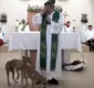 
                  Cães viralizam na web após tentar 'cruzar' no altar de igreja