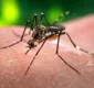 
                  Casos de dengue aumentam em 773% em Salvador e 55% na Bahia