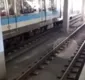 
                  Cão invade linha do metrô de Salvador e funcionamento é afetado