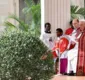 
                  Após ter alta, Papa celebra missa do Domingo de Ramos