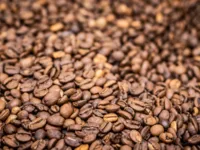 Bahia Farm Show 2023 terá cafés premiados da Chapada Diamantina