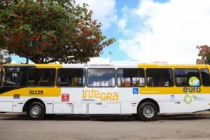 Secretário de Mobilidade fala sobre reajuste de tarifa e novos ônibus