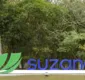 
                  Suzano abre inscrições para programas de estágio