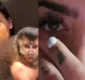 
                  MC Mirella leva mordida de macaco de estimação na testa: 'Inflamada'