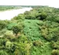
                  Quarenta mil pés de maconha são erradicados no oeste da Bahia