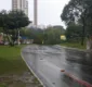 
                  Árvore cai e fecha pista na Avenida Garibaldi, em Salvador