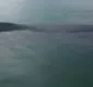 
                  Baleia encalha em praia da Baía de Todos-os-Santos; veja vídeo