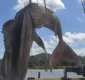 
                  Corpo de baleia que pareceu chorar após encalhar é levado para aterro