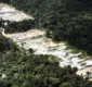 
                  Força-tarefa destrói dez garimpos ilegais na Amazônia