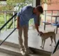 
                  Rodrigo Hilbert viraliza após encontro com mascote de universidade em Ilhéus