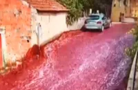 VÍDEO! Vinho inunda cidade após acidente em depósito