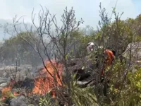 Incêndio já destruiu área de mil campos de futebol em Ituaçu