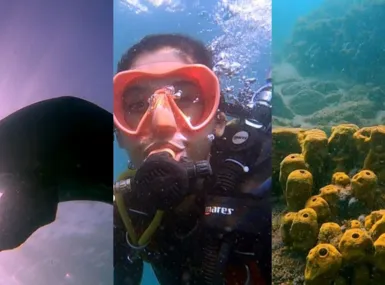 'Bora Ali?' Conheça três locais para praticar mergulho em Salvador