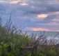
                  Bora Ali? Três lugares para ver o sol nascer em Salvador
