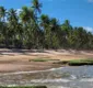 
                  Festival Tempero no Forte celebra Costa dos Coqueiros em 17ª edição