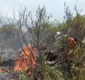 
                  Incêndio já destruiu área de mil campos de futebol em Ituaçu