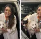 
                  Preta Gil recebe visita de cadelas em hospital onde está internada: 'Saudade'
