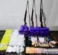 
                  Quatro armas e 20 kg de drogas são apreendidos em ação policial na BA