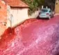 
                  VÍDEO! Vinho inunda cidade após acidente em depósito