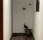 
                  Vídeo: carcará é resgatado em corredor de prédio na Pituba