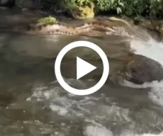 'A bicha é grande'! Sucuri gigante surpreende banhistas em cachoeira