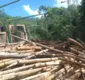 
                  Ciclista morre após ser atingido por toras de madeira em via da Bahia