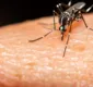 
                  Dengue na Bahia: número de mortos sobe para 60