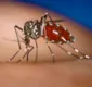 
                  Dengue na Bahia: quarta morte é registrada no estado