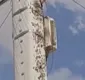 
                  Homem é internado na UTI após ser atacado por abelhas na Bahia