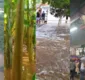 
                  Jeremoabo, Canudos e mais: chuva atinge diversas cidades da Bahia
