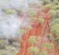 
                  Mais de três mil pés de maconha são destruídos em plantação na BA