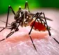 
                  Número de mortes por dengue na Bahia cresce para 18