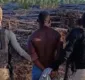 
                  Suspeitos de incendiar florestas para desviar madeira são presos na BA