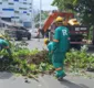 
                  Trânsito é liberado após árvore ser retirada na Avenida Garibaldi