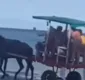 
                  Transporte com animais é banido após exploração em Morro de São Paulo