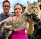 
                  Xartrux: gato brasileiro impressiona pelo tamanho e pode bater recorde