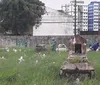 'Tudo mato': ouvinte denuncia abandono no Cemitério de Brotas