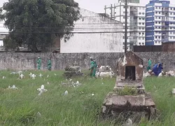 Ouvinte denuncia abandono no cemitério de Brotas: 'tudo mato'