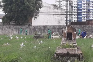 'Tudo mato': ouvinte denuncia abandono no Cemitério de Brotas