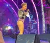 Fã joga cinzas da mãe em palco durante show de Pink; VÍDEO