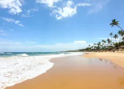 Sombra e água fresca! Conheça praias secretas da Bahia