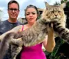 Xartrux: gato brasileiro impressiona pelo tamanho e pode bater recorde