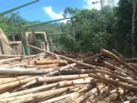 Ciclista morre após ser atingido por toras de madeira em via da Bahia