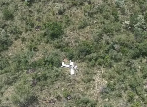 Avião cai em área de vegetação no oeste da Bahia