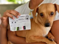 Salvador inicia vacinação em cães e gatos; veja onde levar seu pet