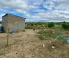 Polícia desarticula laboratório de refino de drogas na Bahia