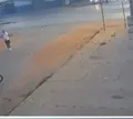 Policial agride ciclista após ser fechado no trânsito em cidade da BA