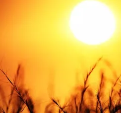 Cidade do oeste da Bahia registra temperatura mais quente do país