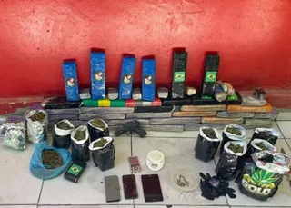 Polícia desarticula cultivo de maconha em cidade turística da Bahia