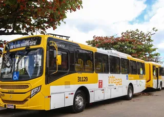 Salvador tem linhas de ônibus reativadas após reavaliação; veja quais